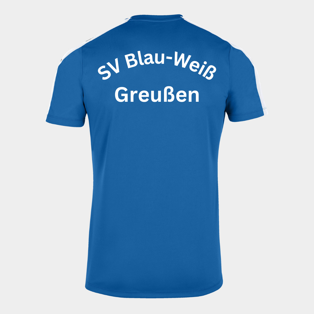 Shirt Academy 3